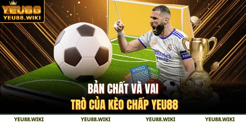 Bản chất và vai trò của kèo chấp YEU88